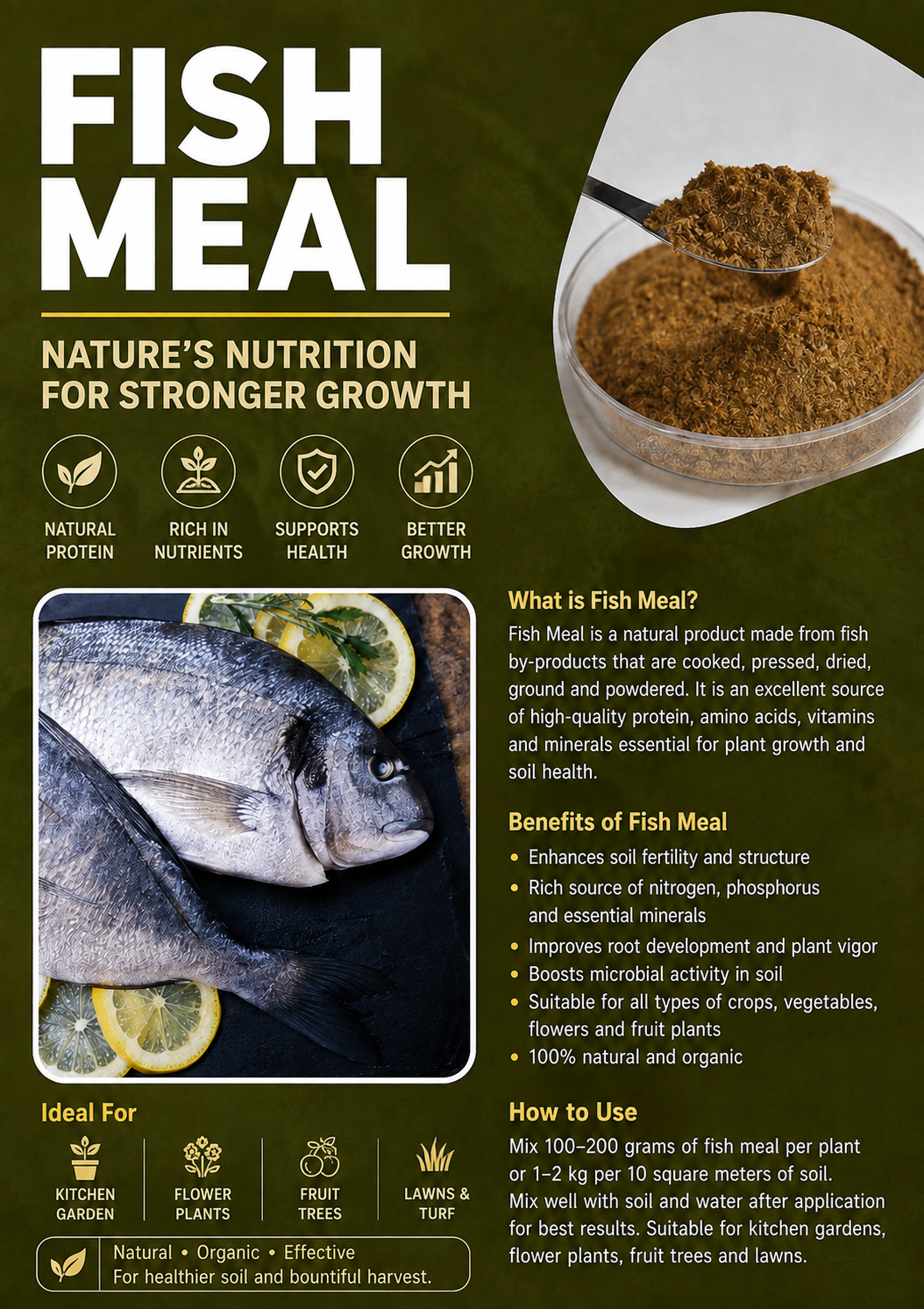 FISH MEAL